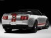 1265928794Ford-Mustang_Shelby_GT500_Convertible_2011_1280x960_wallpaper_03