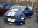 shelby2